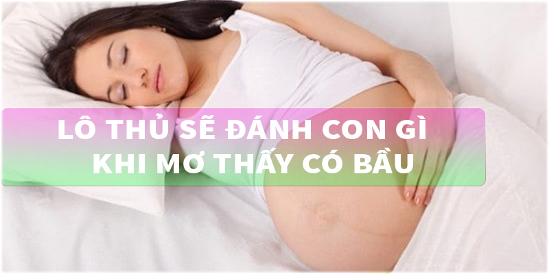Lô thủ sẽ đánh con gì khi mơ thấy có bầu